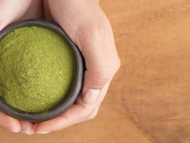 Woman holding bowl of green superfood moringa powder