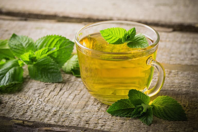 Peppermint Tea - Tea Benefits - The Wellnest by HUM Nutrition