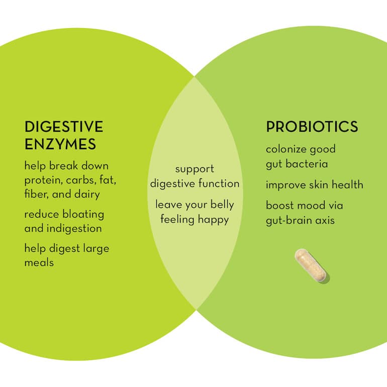 Digestive Enzymes vs Probiotics