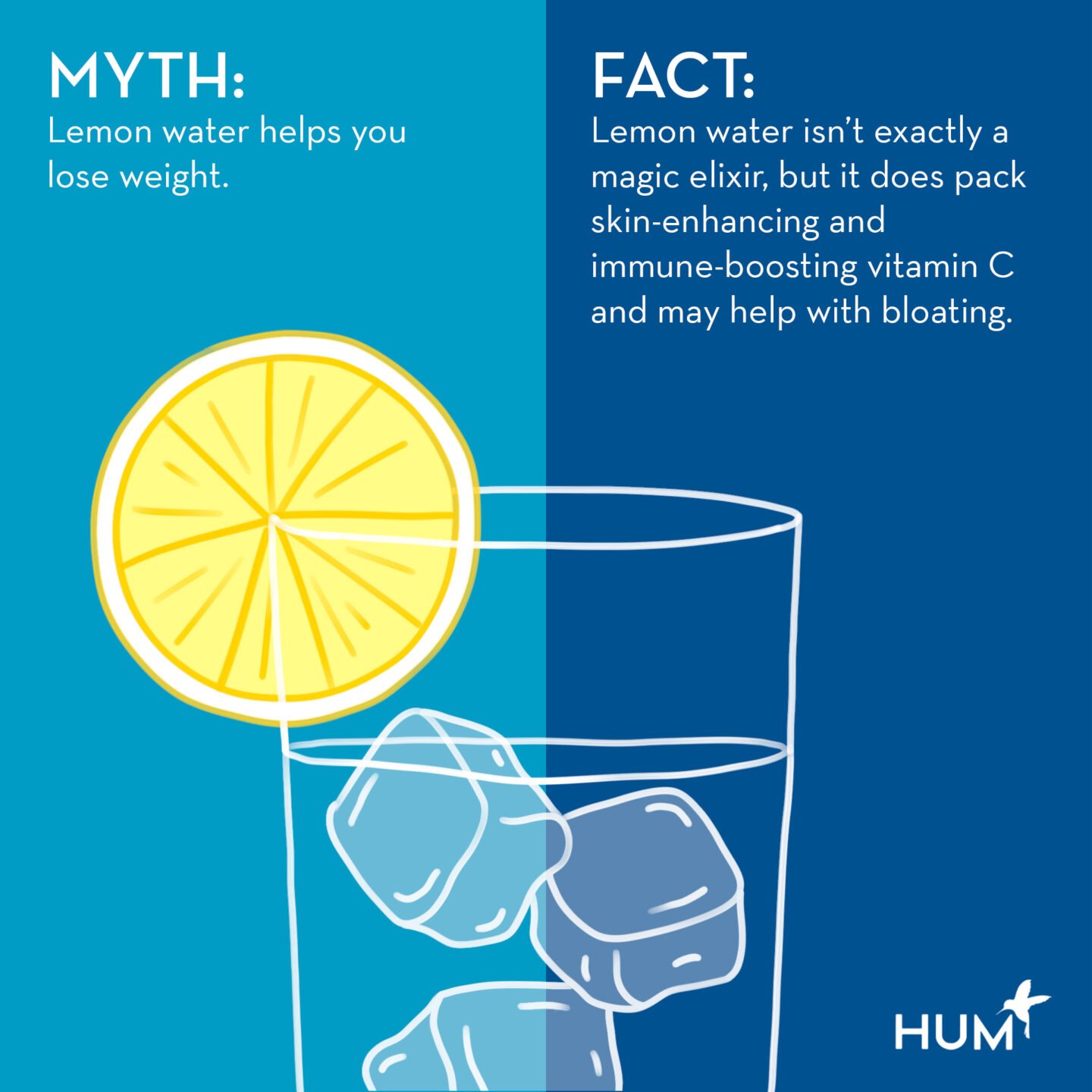 lemon water weight loss myth vs fact