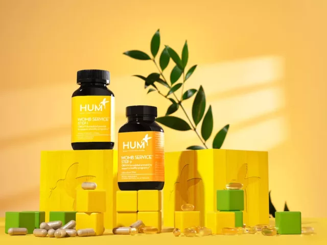 What is in Prenatal Vitamins?