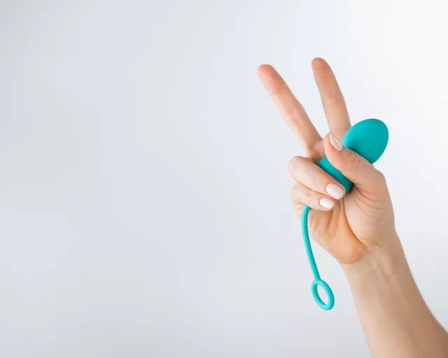 Sex Toy Guide to Pleasure 