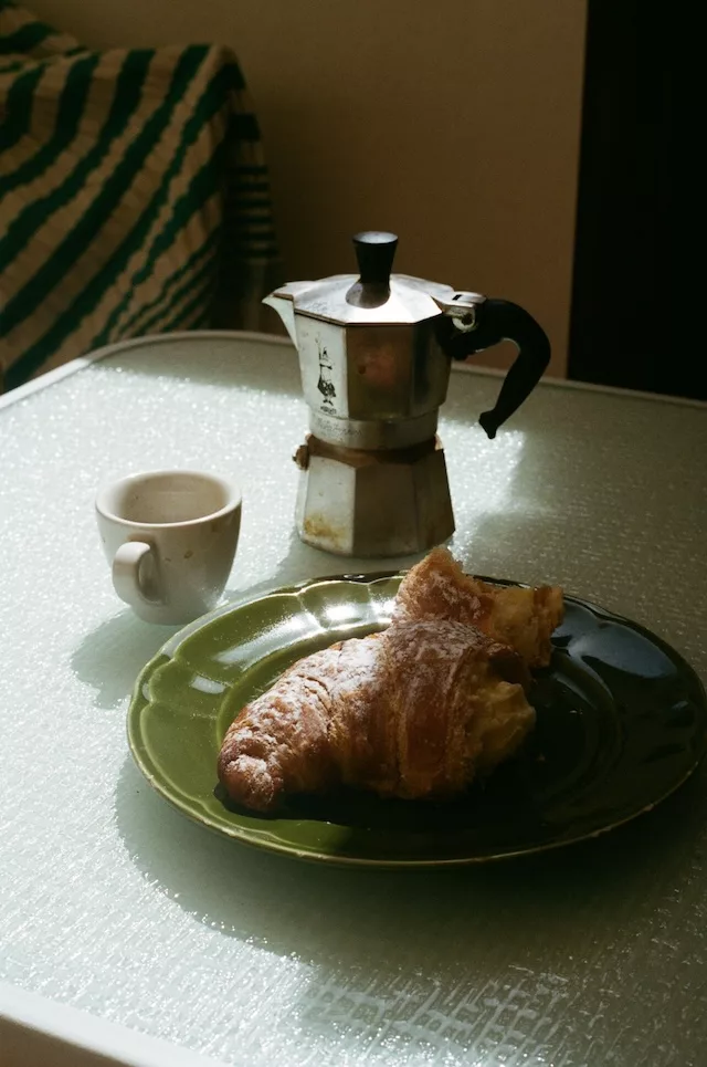 gut health supplements