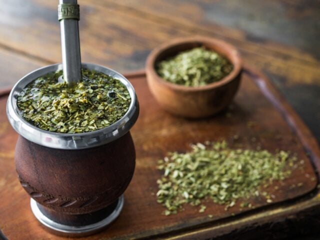 yerba mate benefits