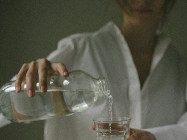 probiotics gut health