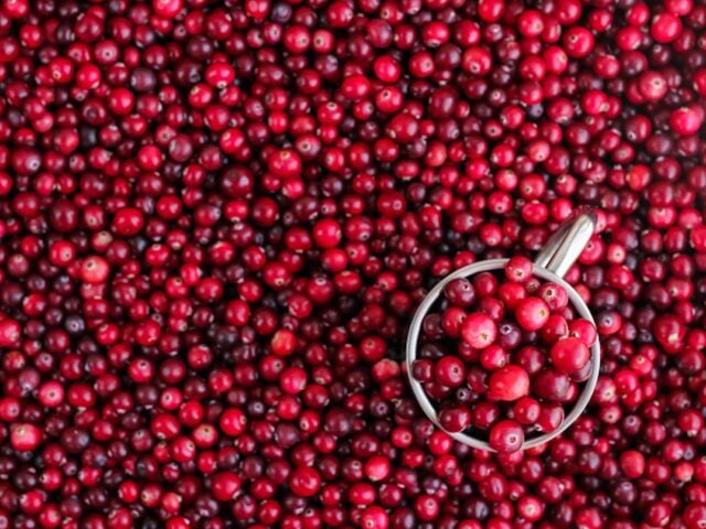 cranberry recipes